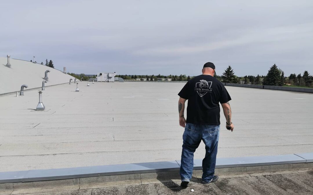 Roofing Services in Ardrossan