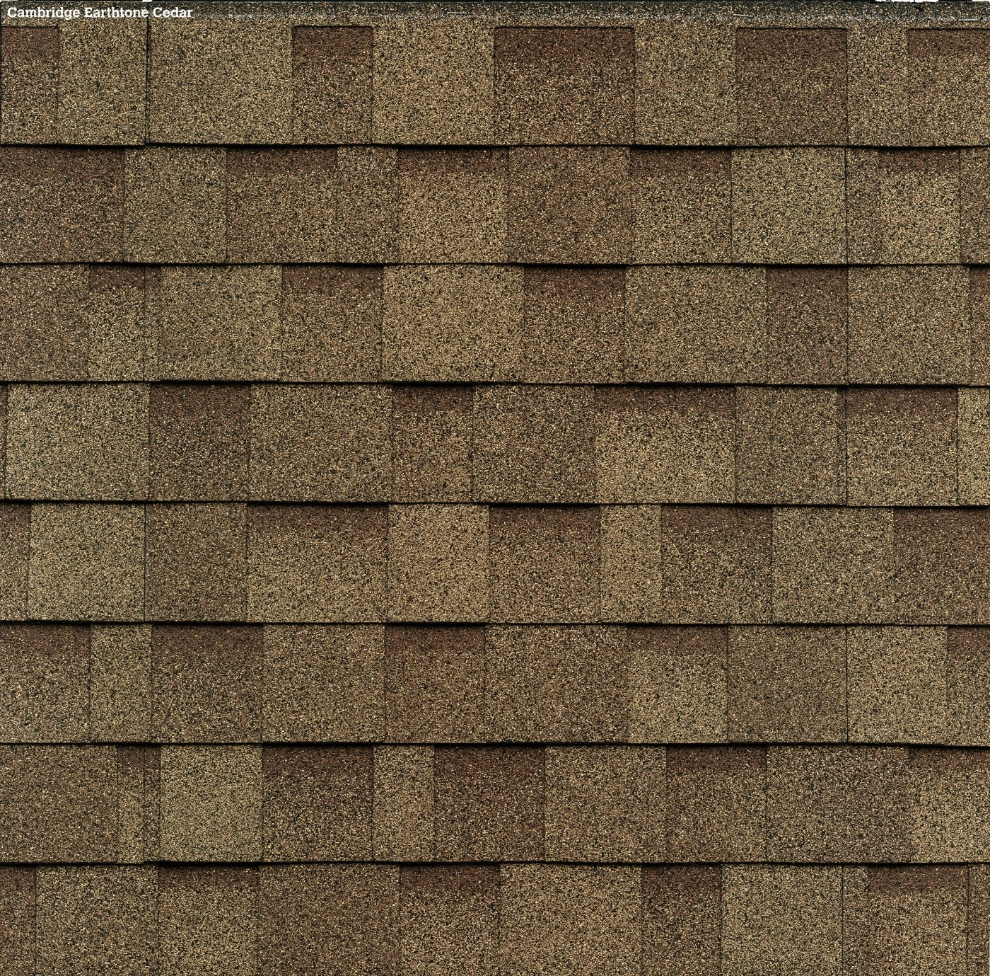 IKO Cambridge shingles in Earthtone Cedar, colour swatch