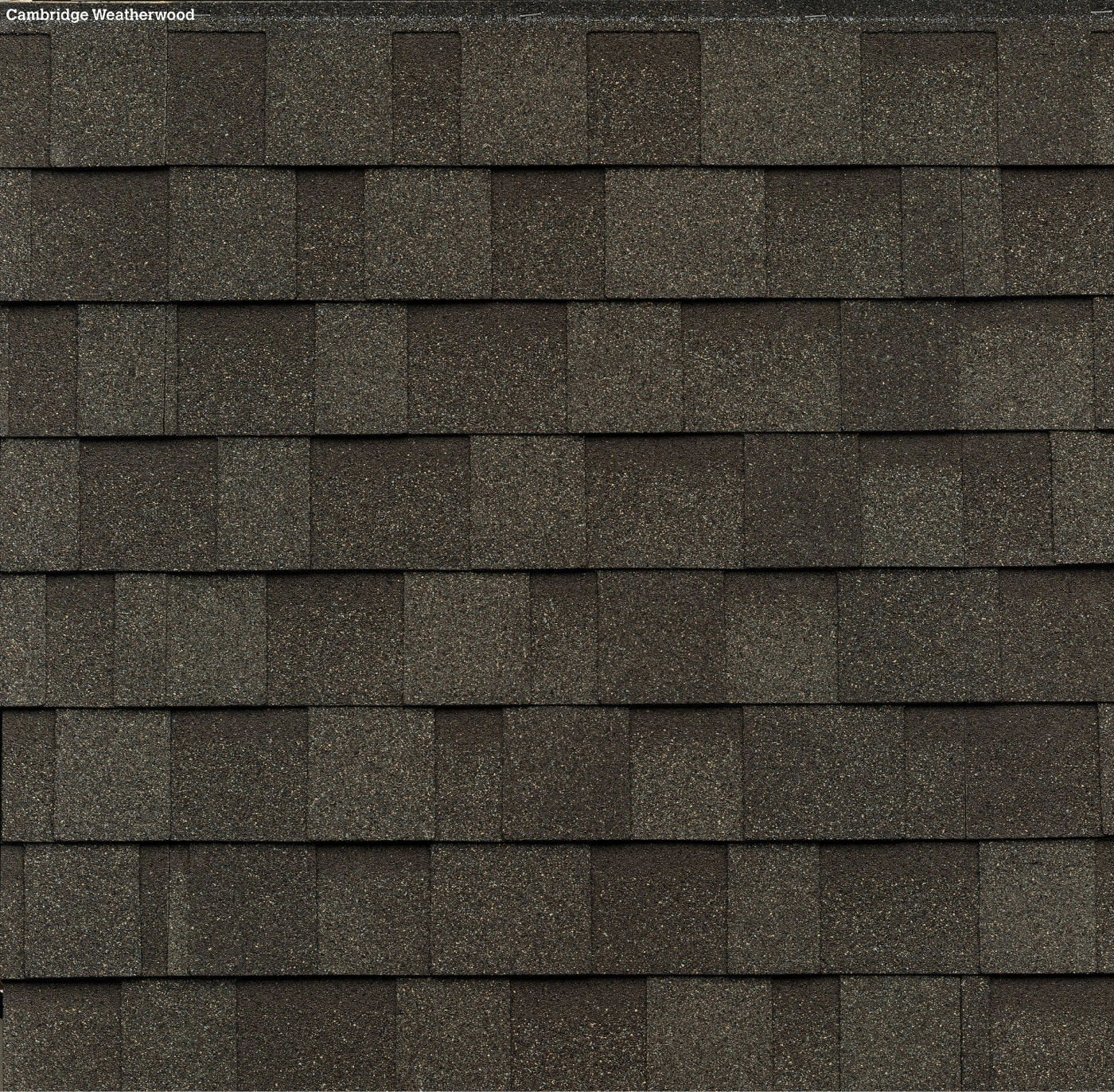 IKO Cambridge shingles in Weatherwood, colour swatch
